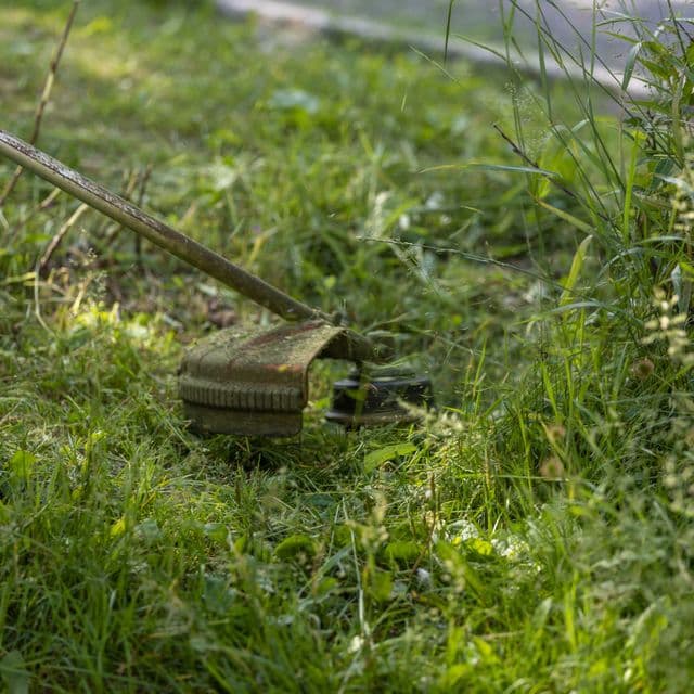 Landscaping service business